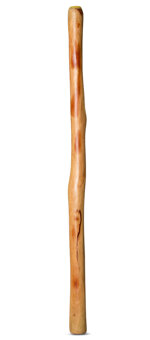 Natural Finish Didgeridoo (TW655)